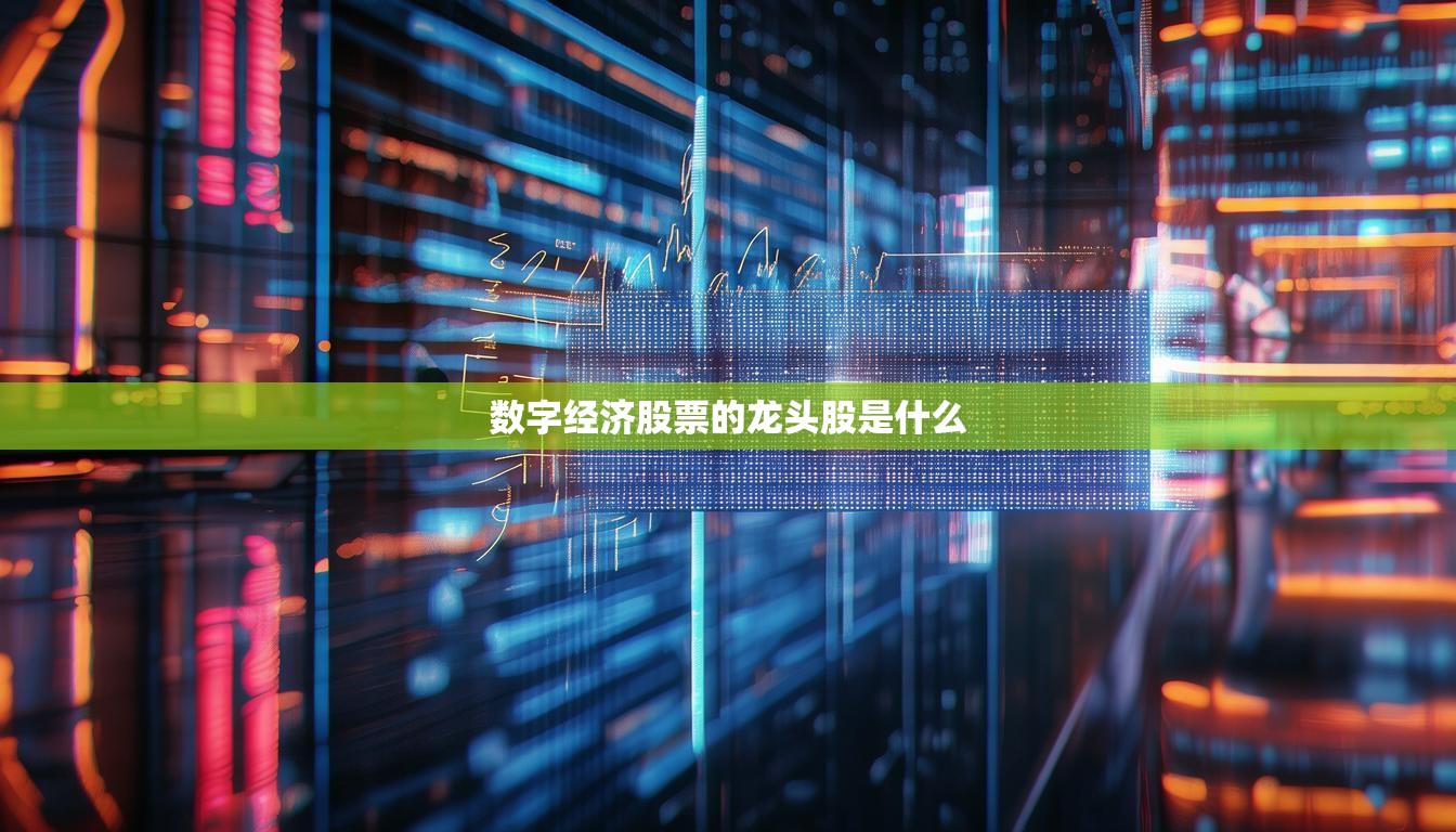 数字经济股票的龙头股是什么