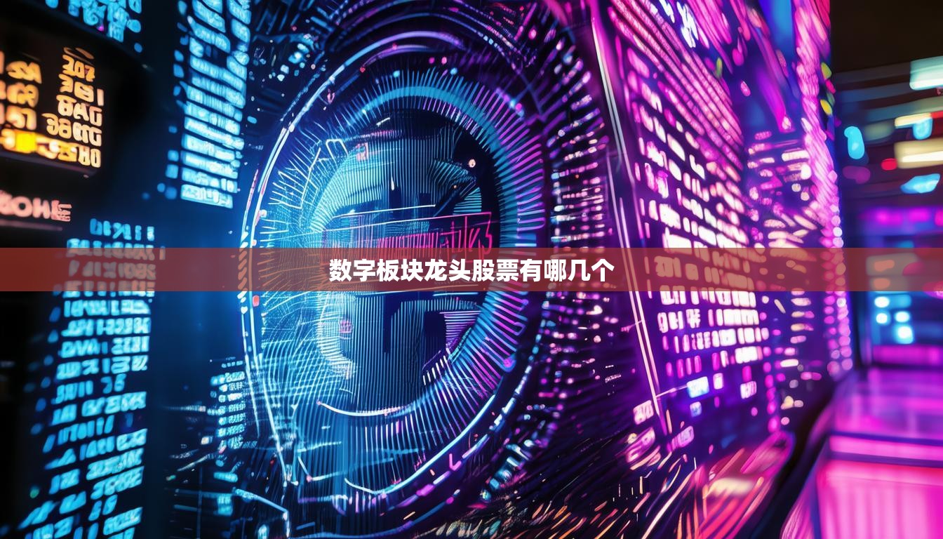 数字板块龙头股票有哪几个